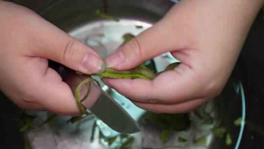 择油豆角处理豆角去纤维东北豆角