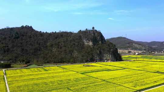 宣城市泾县狮子山油菜花中国宣纸博物馆