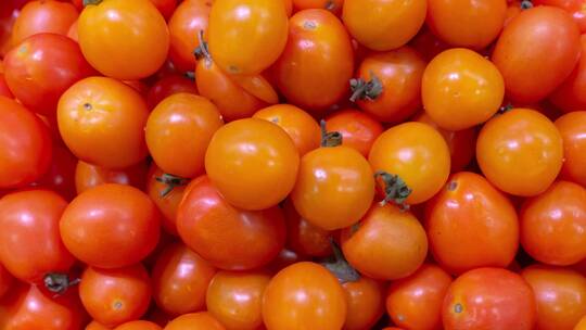 新鲜水果圣女果小番茄4k视频