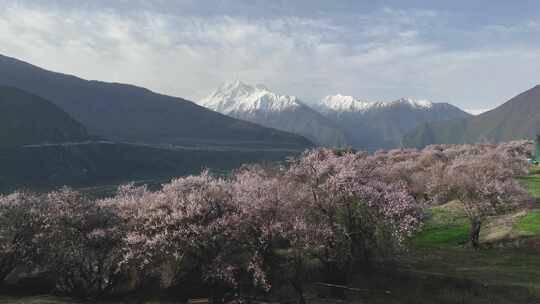 航拍西藏南加巴瓦雪山雅鲁藏布江合集