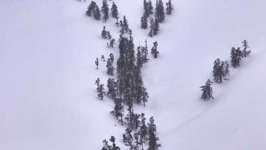 航拍荒野里的雪