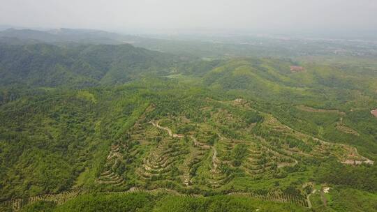 江西绿色青山林地