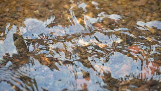 流水 小溪 生命源泉 流动的水 慢放 清水