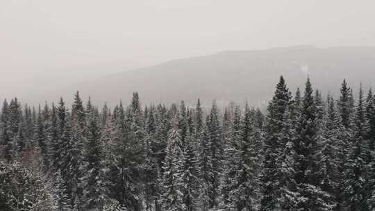 特写雾凇过后的森林大学覆盖白雪
