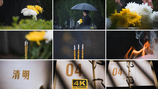 清明节清明时节几点扫墓追忆追思菊花祭祖