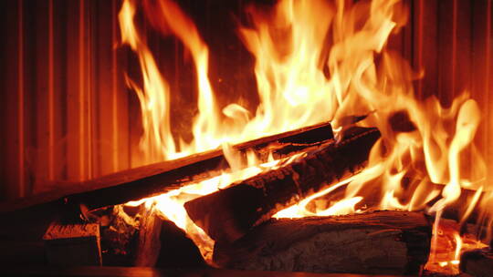 把木柴放进了燃烧着的壁炉里视频素材模板下载