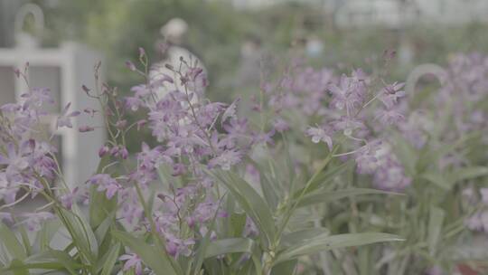 科技农业温室大棚-智慧农业