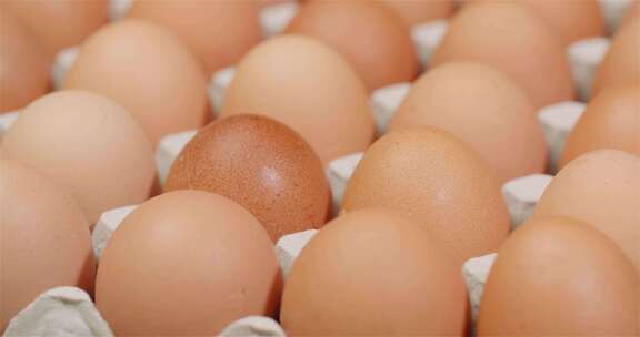 新鲜鸡蛋 高级 蛋托里的有机鸡蛋 完整鸡蛋