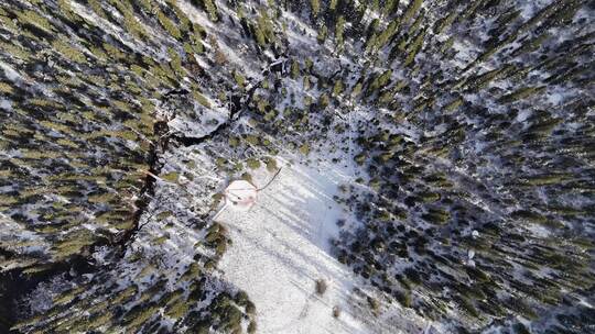 绵阳平武白马王朗景区雪后森林俯瞰景象