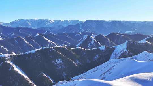 4k航拍冬季雪后祁连山草原