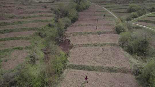 中国西部四川大凉山农民播种场景