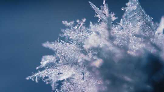 冬天雾凇雪花视频素材模板下载