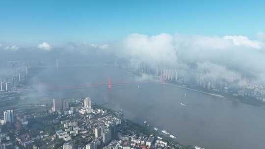 武汉长江两岸风景航拍鹦鹉洲长江大桥风光