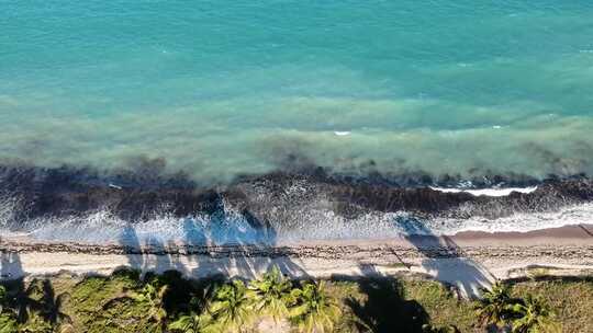 海岸边海浪生态