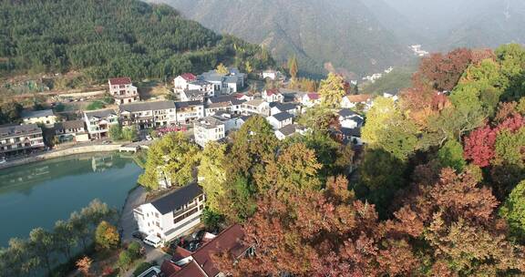 临安村落景区红叶 指南村 秋景秋色 航拍