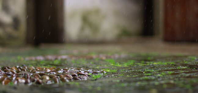 雨滴 鹅卵石 绿意 3