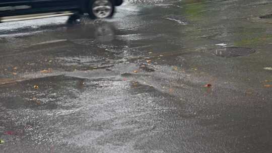 大自然雨季下雨雨滴树林树叶雨水