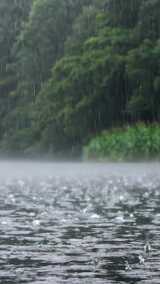 合集-雨水 惊蛰 谷雨 下雨意境竖屏竖版高清在线视频素材下载