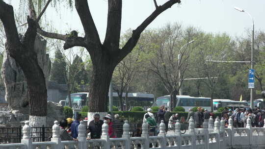 北京什刹海旅游风景区三轮车湖泊可调色