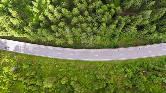 航拍森林中的道路视频素材模板下载