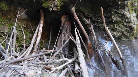 树枝 树枝支山 靠山 山石 石头 大山特写