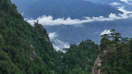 美丽中国河南伏牛山老界岭自然风光