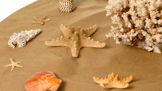 沙子上的海星和贝壳，白色，旋转