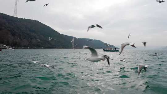 伊斯坦布尔博斯普鲁斯海峡和渔船鸟瞰图