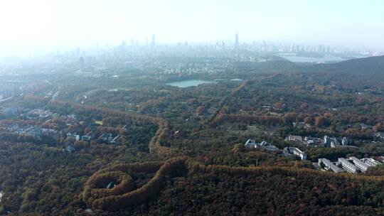 南京市钟山风景区美龄宫秋景航拍