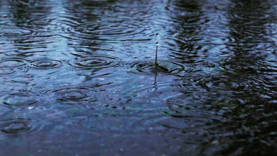 雨滴落在水潭里