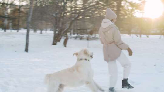 玩耍，宠物狗，雪，冬天