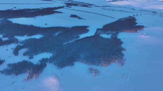 大兴安岭森林草原过渡带寒冬雪景自然风光视频素材模板下载