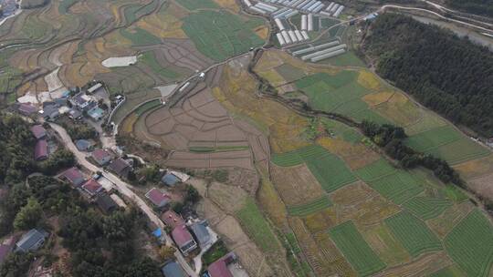 航拍湖南丘陵地貌美丽乡村农田农业种植