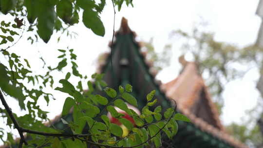 山西太谷无边白塔寺