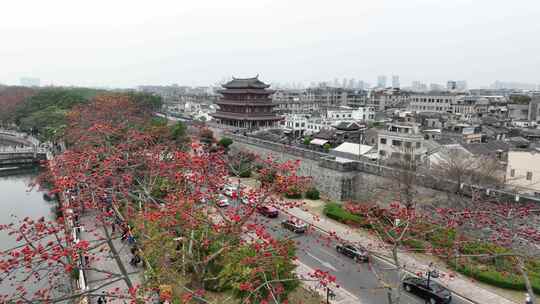 中国广东省潮州市潮州古城广济桥