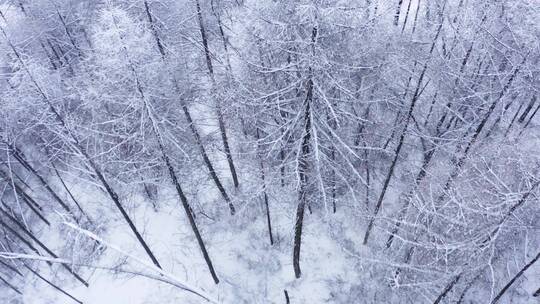 4k航拍恩施雪山雾凇风光