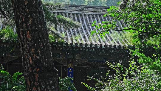 中国风寺庙古建筑下雨雨滴慢镜头