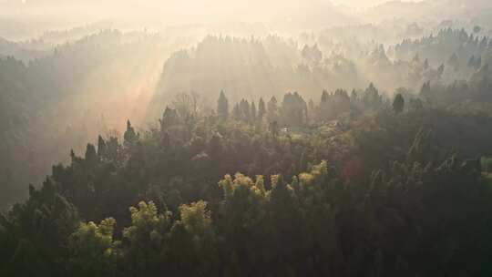 清晨大山森林航拍