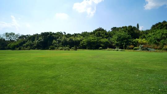 城市绿地草坪