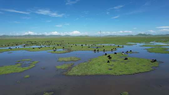 四川阿坝州若尔盖大草原湿地航拍自然风光