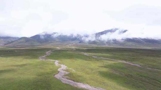 航拍青藏高原祁连大草原雪山牧场羊群