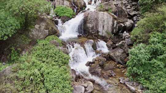 森林山涧溪流