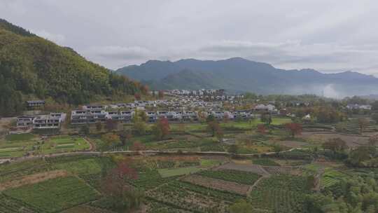 安徽卢村皖南秋色徽派建筑村落悦榕轩酒店