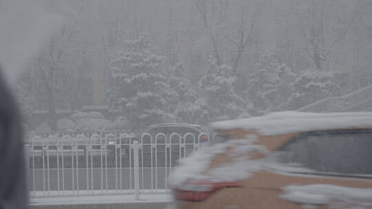 城市雪景 冬天雪景