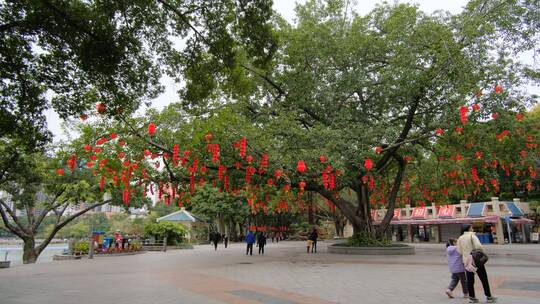 春节红灯笼祈福许愿树