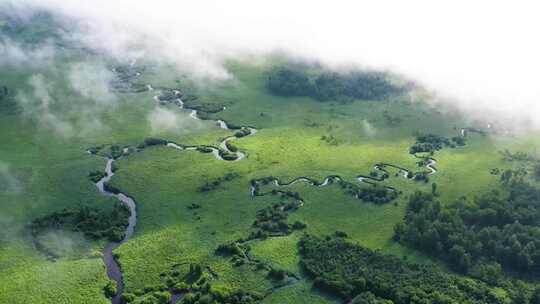 高山湿地哈乌尔河  九曲十八弯河流