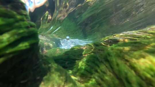 河流溪流水下视角水流湍急石头布满青苔视频素材模板下载