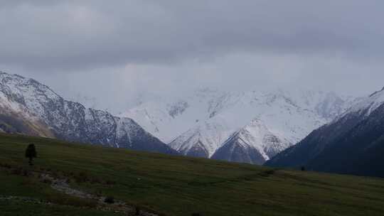 新疆夏塔森林公园的草原雪山森林绝美风光