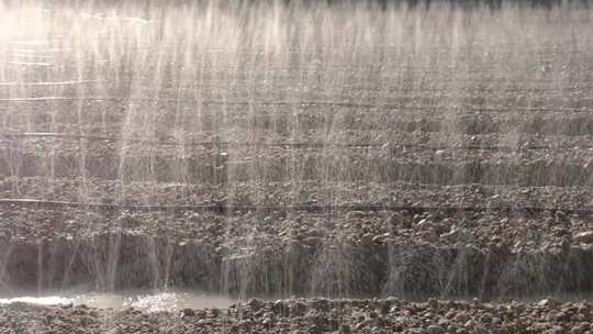 农田自动灌水系统