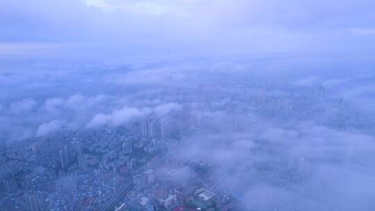 广州城市建筑群与云海云雾缭绕唯美风光航拍视频素材模板下载
